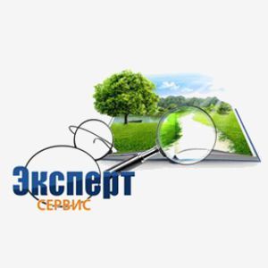 Эксперт-Сервис - Оспаривание кадастровой